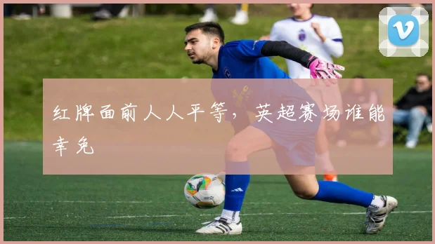 红牌面前人人平等，英超赛场谁能幸免